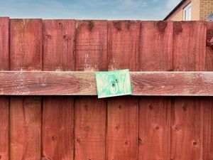 Photo 17- click for photo gallery